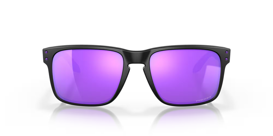 Holbrook Sunglasses