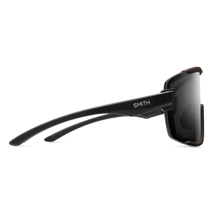 Wildcat Sunglasses