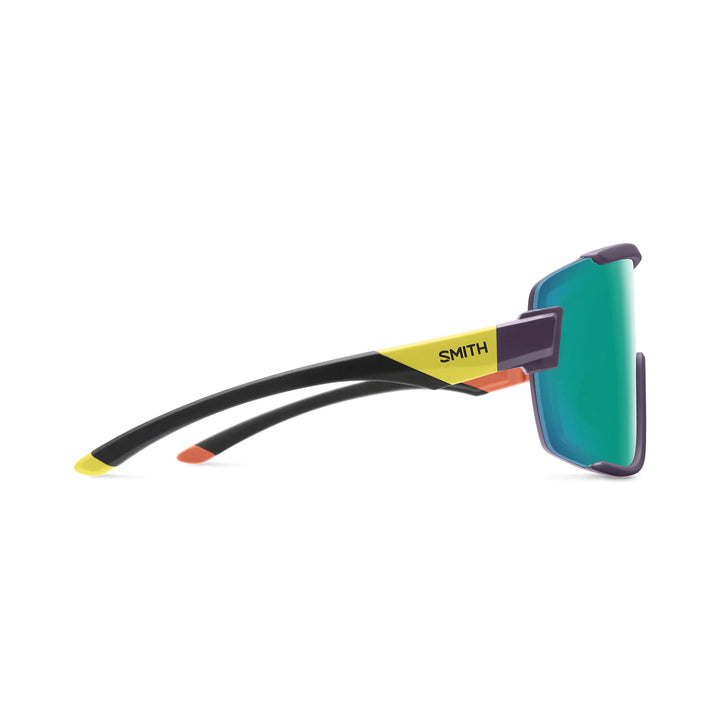Wildcat Sunglasses