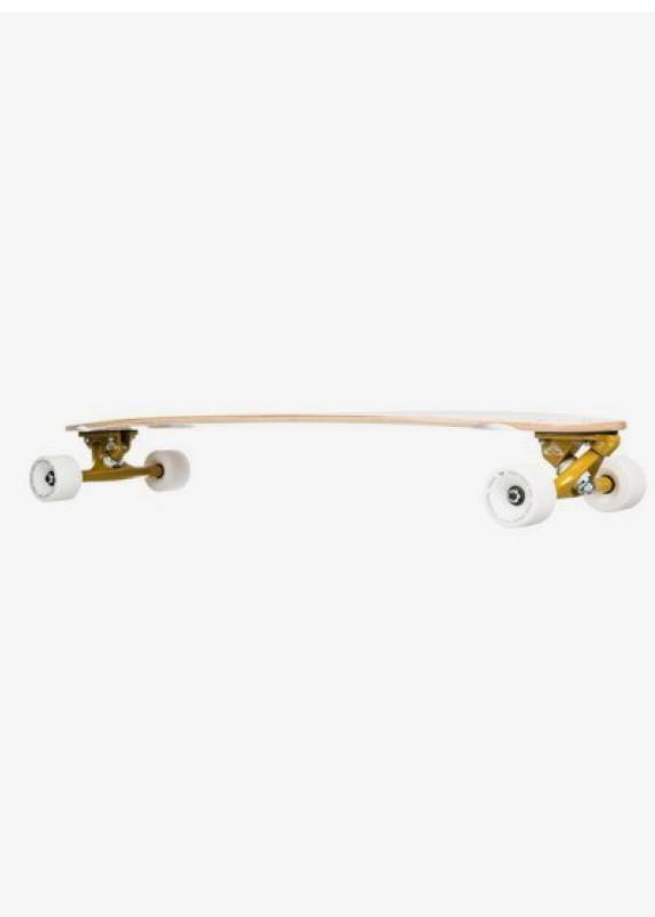 Palm Skateboard